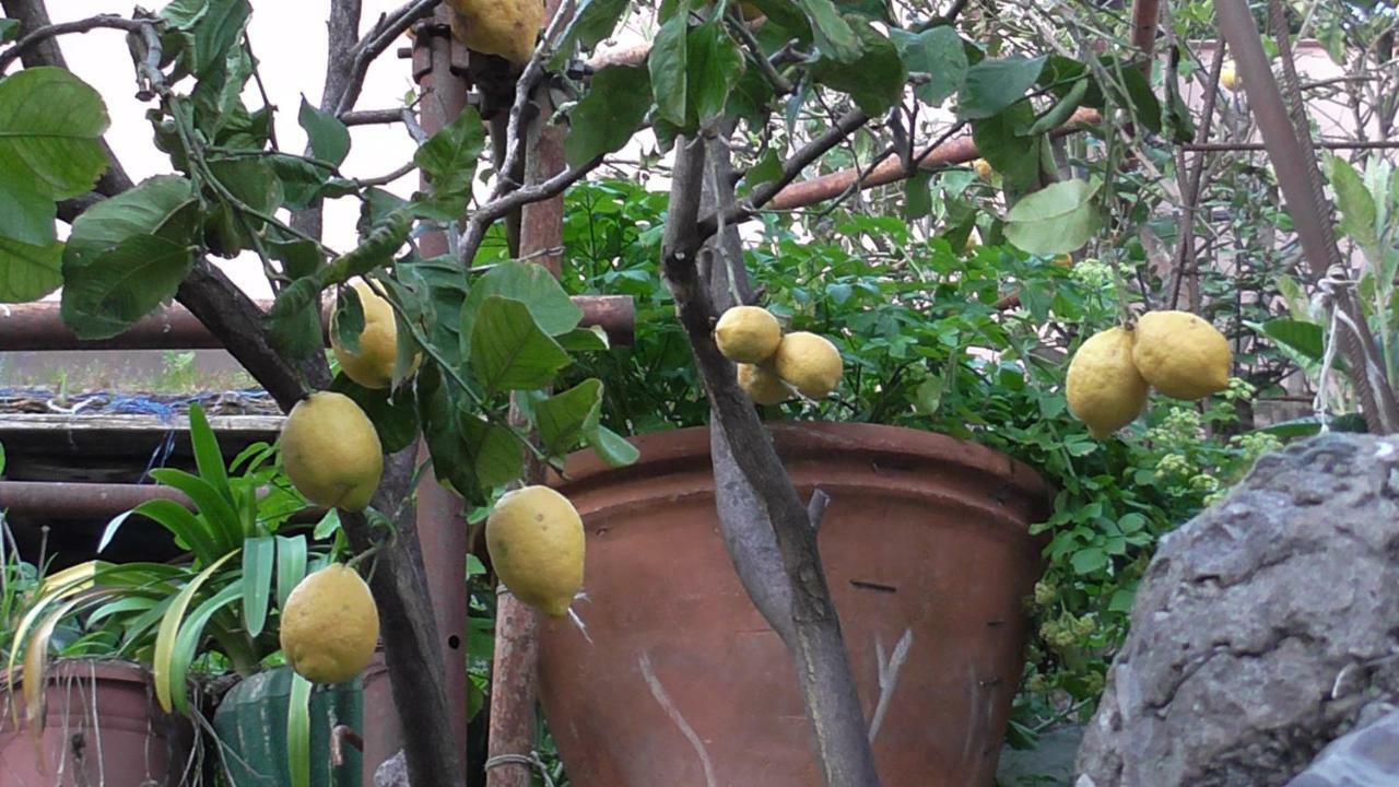 Ferienwohnung Il Golfo E I Limoni La Spezia Exterior foto